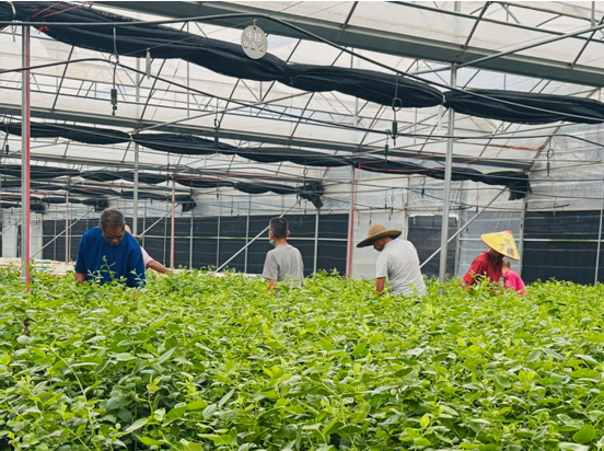 1744783536573703.png 1744783536573703.png