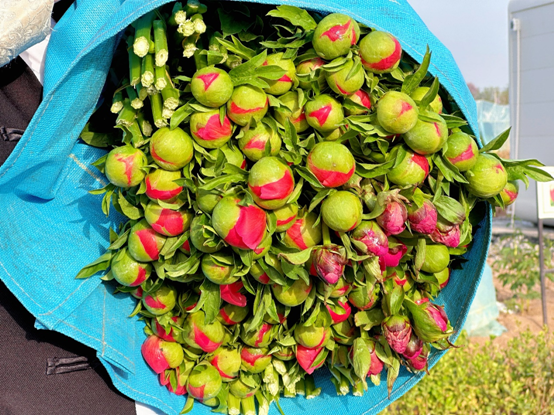 1744783563485878.png 1744783563485878.png