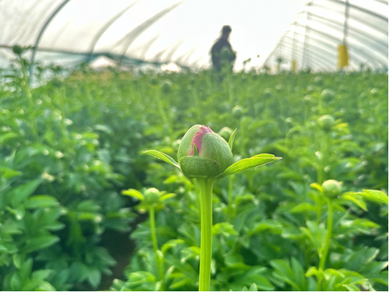 1744783604913109.png 1744783604913109.png