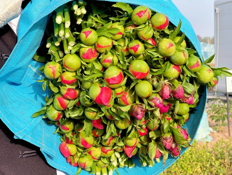 1747114787753986.png 1747114787753986.png