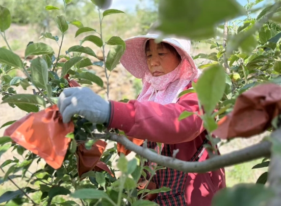 1747114825521449.png 1747114825521449.png