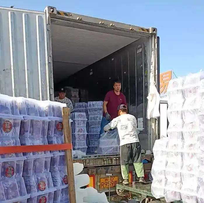 1750131491773145.png 1750131491773145.png