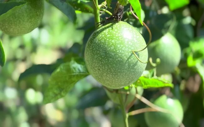 1761622833780813.png 1761622833780813.png