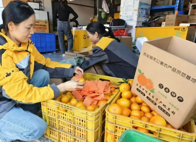 1762481174782622.png 1762481174782622.png