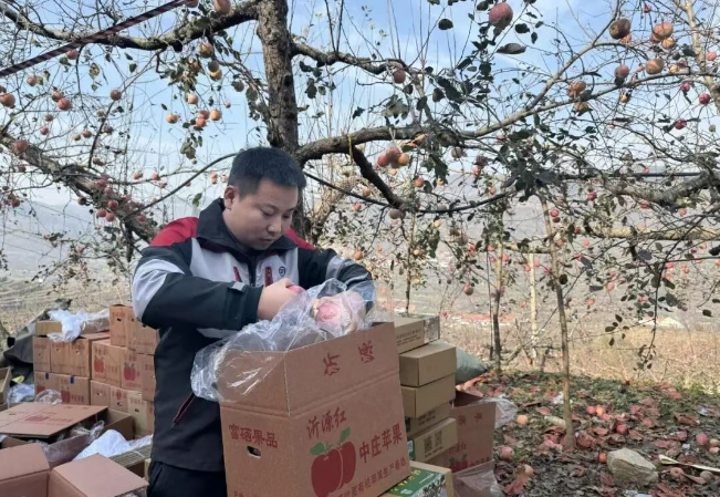 1763086517896383.png 1763086517896383.png