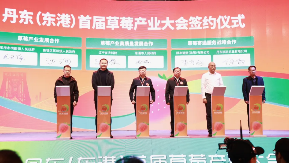 1763965422945626.png 1763965422945626.png