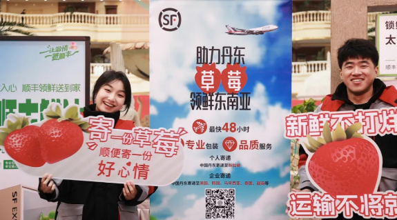 1763965443665054.png 1763965443665054.png