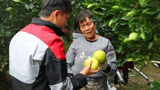 1766368896676482.png 1766368896676482.png