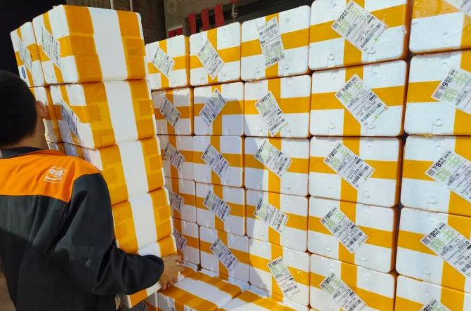 1766370162921330.png 1766370162921330.png